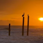 Ocean-Beach-Club-ocean-view-outside-view